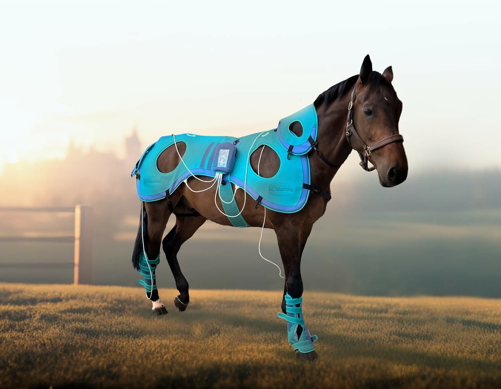 Veterinarska impulsna magnetska terapija Biomag